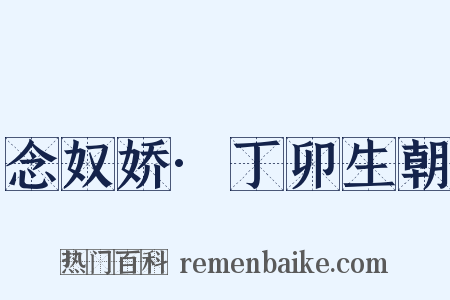 念奴娇·丁卯生朝是什么意思的图片